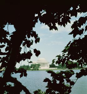 Uitzicht op het Jefferson Memorial, gebouwd 1938-43